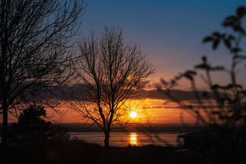 Sunset over Sandwich Bay seen through the trees and bushes of the promenade in Ramsgate