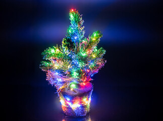 Christmas tree with lights on the dark