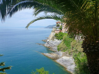 Fototapeta na wymiar schöne Aussicht aufs Mittelmeer (Ligurien, Italien)