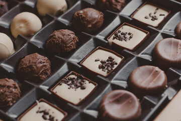 chocolate truffles in a box
