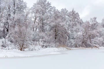 Winter snowy landscape with lake, trees, branches with show, ice and cold weather