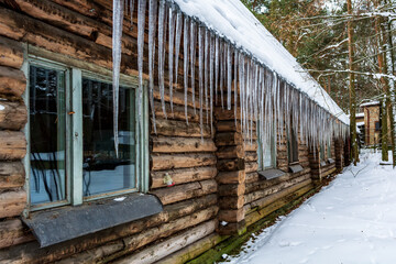 Many large sharp icicles hanging from the roof of the log-house in the snowy forest. The old hut is covered with ice in winter.