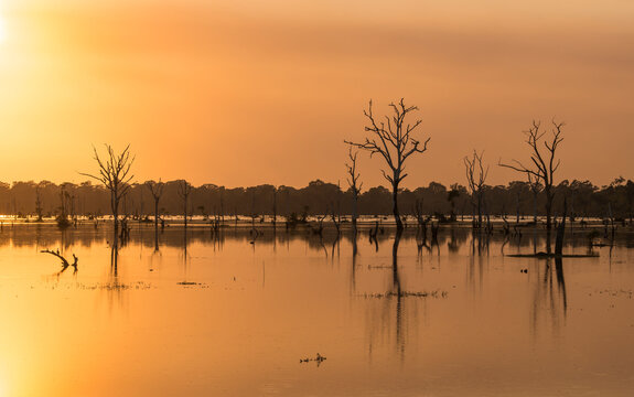 Orange sunset at the pool with dead trees near Neak Poan in the Angkor Complex.