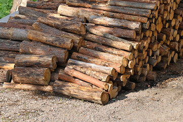 Pine round timber