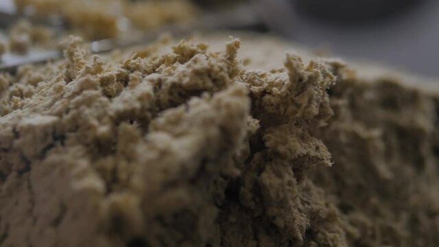 Close up view - feed extruder machine - pet mixed food production line at factory, plant, exhibition. Farming, extrusion technology, agriculture industry, animal husbandry concept