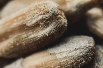 Macro View of Sunflower Seeds on the Wooden Board.