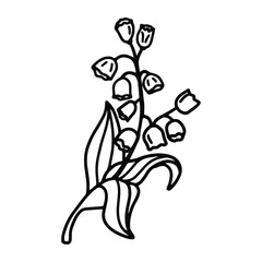 Lily of the valley in doodle style. Coloring pages. Isolated vector.