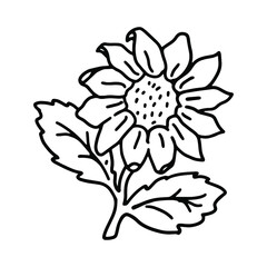 Sunflower in doodle style. Isolated vector.