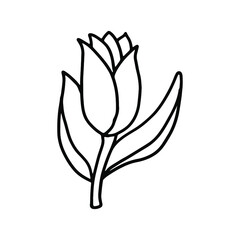 Tulip in doodle style. Isolated vector.