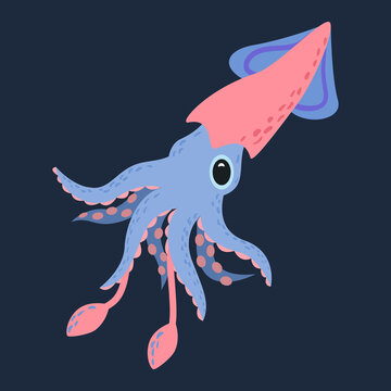 Squid in cartoon style. Isolated vector.