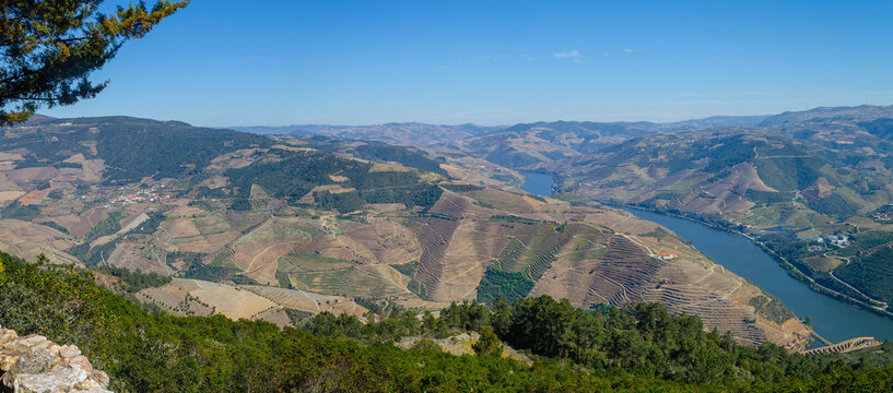 Panoramic view of the Douro river valley from the viewpoint of Sao Leonardo de Galafura. Portugal.