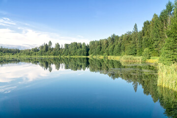 Summer landscape on woodland lake, Podlasie, Poland. Reflection of trees and blue sky with white clouds in the water. Travel and outdoor recreation.
