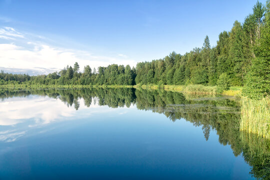 Summer landscape on woodland lake, Podlasie, Poland. Reflection of trees and blue sky with white clouds in the water. Travel and outdoor recreation. © msnobody