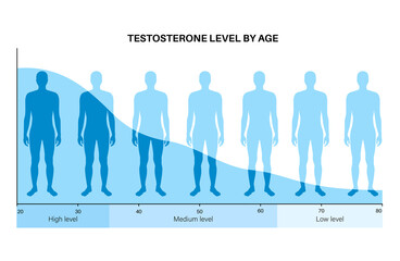 Testosterone level chart - obrazy, fototapety, plakaty