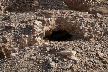 Animal's hole in a ground