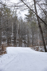 Early winter scenery in Canada, Ontario with thin layer of snow on the ground and half frozen lake.
 frozen lake.