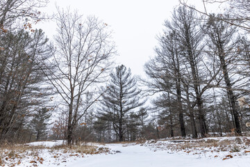 Early winter scenery in Canada, Ontario with thin layer of snow on the ground and half frozen lake.
 frozen lake.