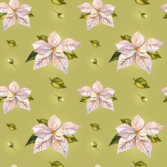 Poinsettia christmas flower pattern. Botanical illustration. White flowers and green leaves. Watercolor seamless pattern, on a green background. Ready-made template for textiles, wallpaper, packaging
