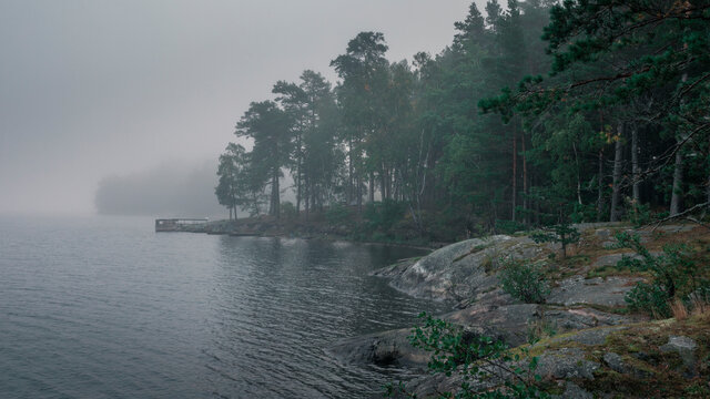 Lakeshore with forest in moody morning mist near Tyresta National Park in Sweden.
