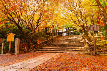 秋の京都　龍安寺