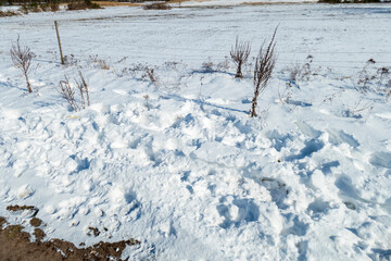 Winterlandschaft im Schnee bedeckten Naturschutzgebiet Sandd&uuml;nen Baden-Baden Sandweier