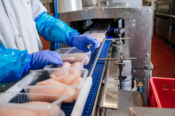 Meat processing plant. Production line of meat.Line for the production of meat with packaging and...