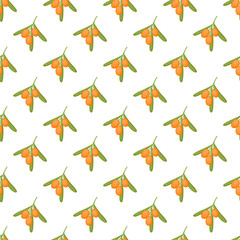 Seamless pattern with sea buckthorn, vector illustration