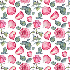 Seamless pattern watercolor pink rose with green leaves on white background. Hand-drawn botanical flower for Valentine's day or 8 March. Spring women's day. Art for wedding celebration invite