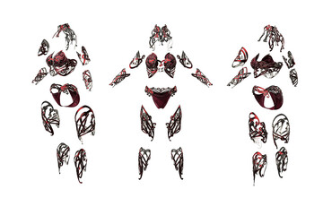 3D rendering, 3D illustration, female ornamental elvish armor on an isolated white background