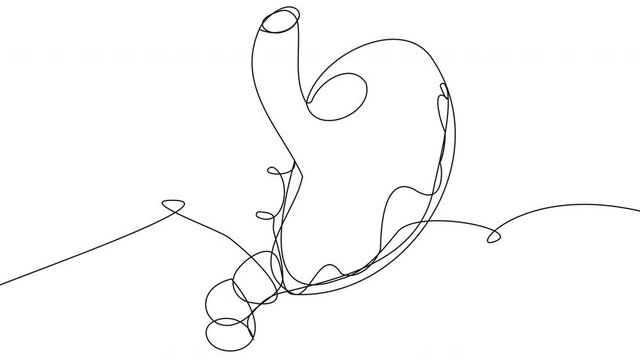 Self-drawing of the stomach in one line on a white screen. Animation with the concept of the human digestive system. 4k video of anatomical organs with alpha channel.