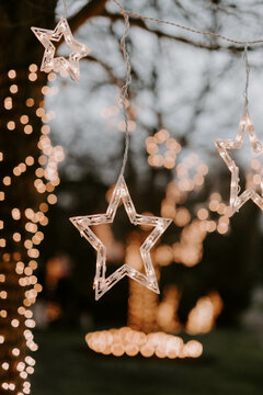 Holiday lights on a tree