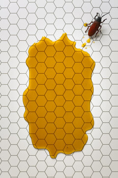 Bug in honey