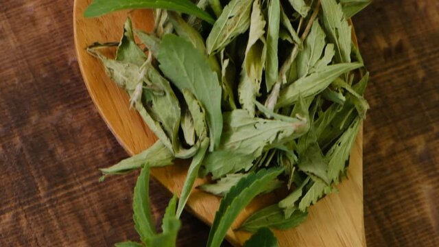 Stevia rebaudiana.natural ​sweetener.Dry stevia leaves in a wooden spoon. 
