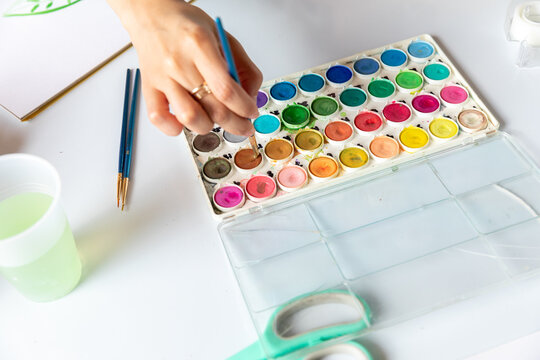 Woman Uses Brush on Water Color Palette