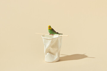 Parrot sitting on used paper cup