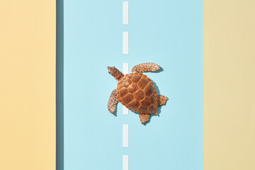 Turtle crossing papercraft car road