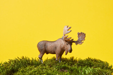 Elk standing on moss