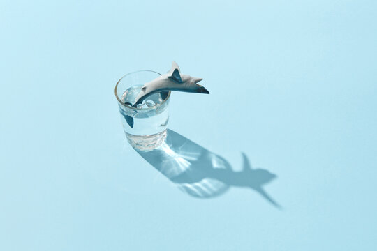 Plastic shark on glass of water