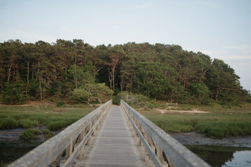 picturesque scenes from a new england summer