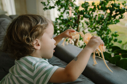 Boy Playing With His Toys Dinosaurs