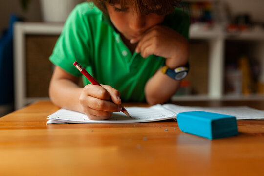 Studious boy doing homework at home