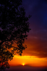 Obraz na płótnie Canvas Beautiful lanscape tree silhouette at sunset