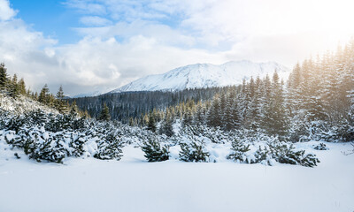 Fototapeta premium Winter landscape of Tatry mountains in winter, Poland.