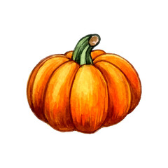 Watercolor hand drawn fall pumpkin composition