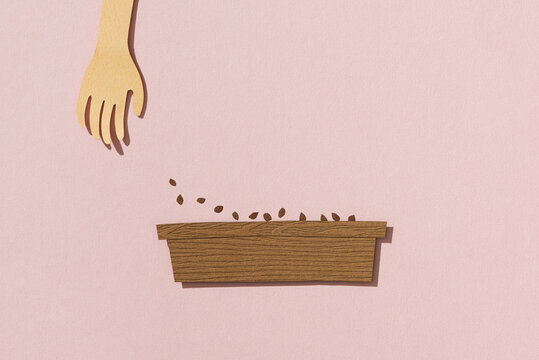 hands sowing seeds into a seed tray filled with compost