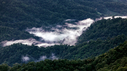 Misty forest in Mountain Landscape at twilight sunset