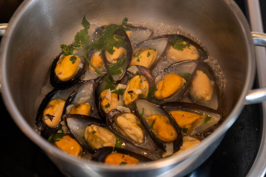 Cooked mussels in a pot
