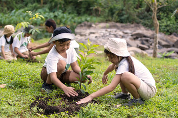 Children, boys and girls help each other plant trees in the forest,  learn about the environment...