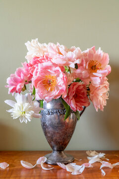 Bouquet of peony flowers in silver vase losing petals 