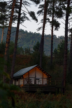 Camping house in coniferous forest